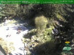 Archiv Foto Webcam Oberhof - Blick in den Rennsteiggarten 11:00