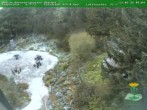Archiv Foto Webcam Oberhof - Blick in den Rennsteiggarten 05:00