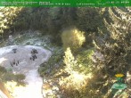 Archiv Foto Webcam Oberhof - Blick in den Rennsteiggarten 09:00