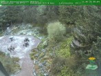 Archived image Webcam Oberhof - Botanical Garden 05:00