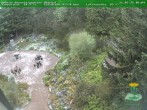 Archived image Webcam Oberhof - Botanical Garden 06:00
