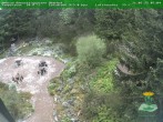 Archived image Webcam Oberhof - Botanical Garden 07:00