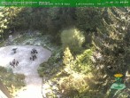 Archived image Webcam Oberhof - Botanical Garden 09:00