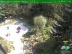 Archived image Webcam Oberhof - Botanical Garden 11:00