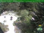 Archived image Webcam Oberhof - Botanical Garden 13:00