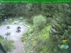 Archiv Foto Webcam Oberhof - Blick in den Rennsteiggarten 05:00
