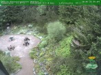 Archiv Foto Webcam Oberhof - Blick in den Rennsteiggarten 07:00