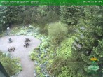 Archiv Foto Webcam Oberhof - Blick in den Rennsteiggarten 05:00