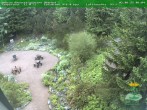 Archiv Foto Webcam Oberhof - Blick in den Rennsteiggarten 06:00