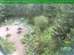 Archiv Foto Webcam Oberhof - Blick in den Rennsteiggarten 07:00