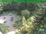 Archiv Foto Webcam Oberhof - Blick in den Rennsteiggarten 09:00