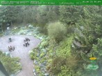 Archiv Foto Webcam Oberhof - Blick in den Rennsteiggarten 05:00