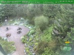 Archiv Foto Webcam Oberhof - Blick in den Rennsteiggarten 06:00