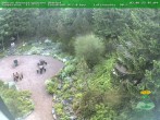 Archiv Foto Webcam Oberhof - Blick in den Rennsteiggarten 07:00