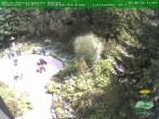 Archiv Foto Webcam Oberhof - Blick in den Rennsteiggarten 11:00