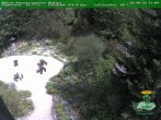 Archiv Foto Webcam Oberhof - Blick in den Rennsteiggarten 13:00