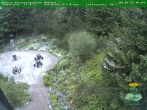 Archived image Webcam Oberhof - Botanical Garden 05:00