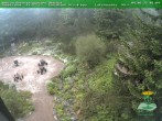 Archived image Webcam Oberhof - Botanical Garden 06:00