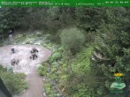 Archived image Webcam Oberhof - Botanical Garden 09:00