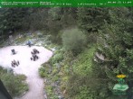 Archived image Webcam Oberhof - Botanical Garden 11:00