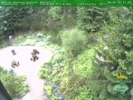 Archived image Webcam Oberhof - Botanical Garden 15:00