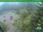 Archiv Foto Webcam Oberhof - Blick in den Rennsteiggarten 05:00