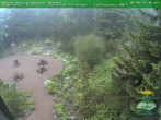Archiv Foto Webcam Oberhof - Blick in den Rennsteiggarten 07:00