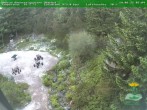 Archived image Webcam Oberhof - Botanical Garden 05:00