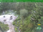 Archived image Webcam Oberhof - Botanical Garden 06:00