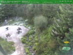 Archived image Webcam Oberhof - Botanical Garden 07:00