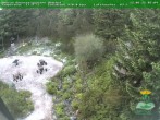 Archiv Foto Webcam Oberhof - Blick in den Rennsteiggarten 05:00