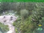 Archived image Webcam Oberhof - Botanical Garden 07:00