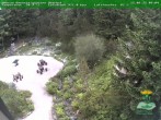 Archived image Webcam Oberhof - Botanical Garden 09:00