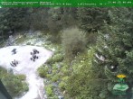 Archiv Foto Webcam Oberhof - Blick in den Rennsteiggarten 05:00