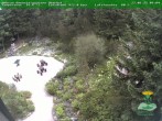 Archiv Foto Webcam Oberhof - Blick in den Rennsteiggarten 09:00