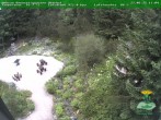 Archiv Foto Webcam Oberhof - Blick in den Rennsteiggarten 11:00