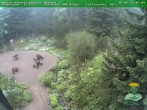 Archiv Foto Webcam Oberhof - Blick in den Rennsteiggarten 07:00