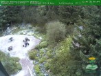 Archiv Foto Webcam Oberhof - Blick in den Rennsteiggarten 05:00