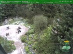 Archiv Foto Webcam Oberhof - Blick in den Rennsteiggarten 07:00