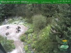 Archiv Foto Webcam Oberhof - Blick in den Rennsteiggarten 09:00