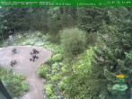 Archiv Foto Webcam Oberhof - Blick in den Rennsteiggarten 11:00