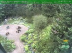 Archiv Foto Webcam Oberhof - Blick in den Rennsteiggarten 13:00