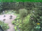 Archiv Foto Webcam Oberhof - Blick in den Rennsteiggarten 15:00