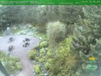 Archiv Foto Webcam Oberhof - Blick in den Rennsteiggarten 05:00