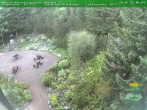 Archiv Foto Webcam Oberhof - Blick in den Rennsteiggarten 06:00