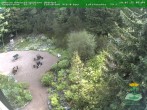 Archiv Foto Webcam Oberhof - Blick in den Rennsteiggarten 09:00
