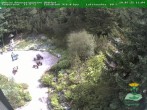 Archiv Foto Webcam Oberhof - Blick in den Rennsteiggarten 11:00