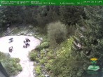 Archiv Foto Webcam Oberhof - Blick in den Rennsteiggarten 13:00