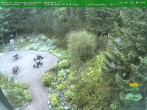 Archiv Foto Webcam Oberhof - Blick in den Rennsteiggarten 05:00