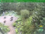 Archiv Foto Webcam Oberhof - Blick in den Rennsteiggarten 06:00